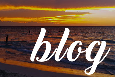 Il blog
